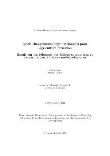 PhD Thesis, 12/2011 - Centre International de Recherche sur l ...