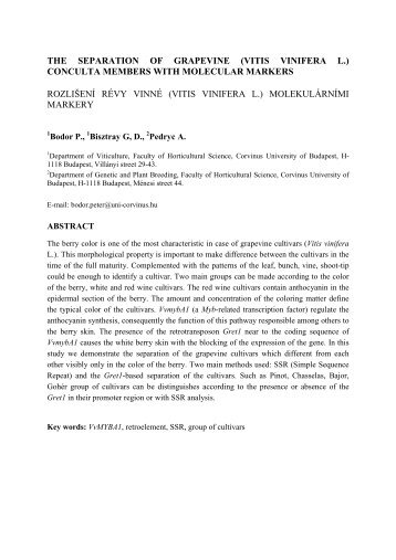 THE SEPARATION OF GRAPEVINE (VITIS VINIFERA L ...