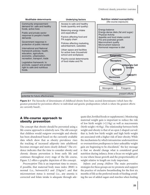 Preventing Childhood Obesity - Evidence Policy and Practice.pdf