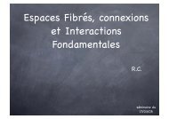 Espaces FibrÃ©s, connexions et Interactions Fondamentales