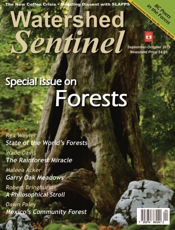 Special issue on - Watershed Sentinel