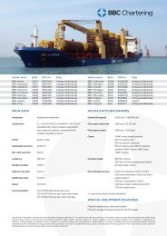 MAIN DATA HOLDS/HATCHES/CRANES ... - BBC Chartering
