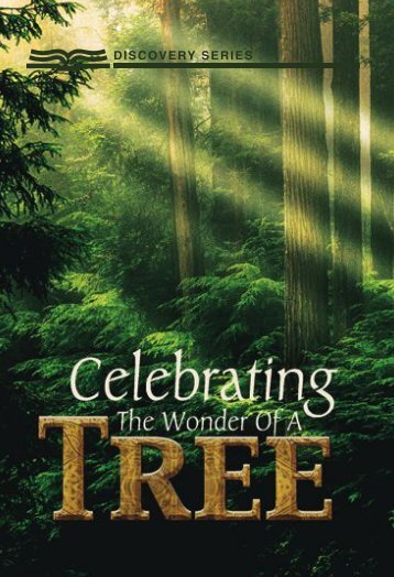 Celebrating the Wonder of a Tree - RBC Ministries