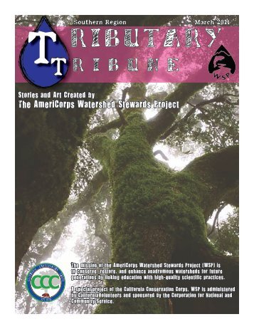 Tributary Tribune - California Conservation Corps