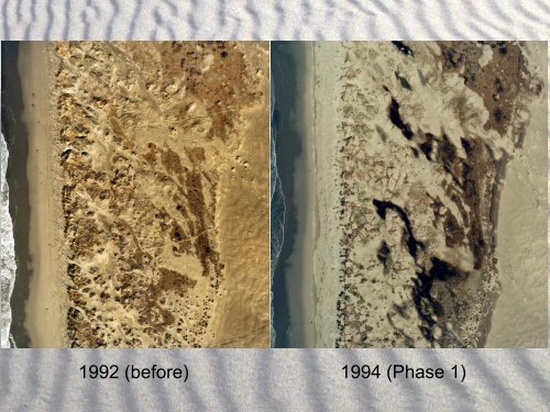 A Decade of Dune Restoration at the Lanphere Dunes - Cal-IPC