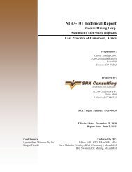 NI 43-101 Technical Report - Geovic Mining Corp