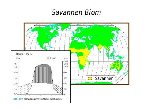 Biome und Ãkozonen