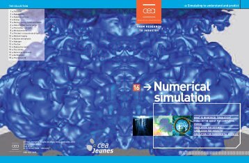 CEA - Numerical simulation