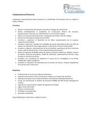 COORDINADOR DE PROYECTOS Importante empresa Minera ...