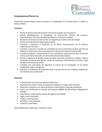 COORDINADOR DE PROYECTOS Importante empresa Minera ...