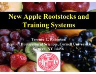 New Apple Rootstocks and Training Systems - Utahhort.org