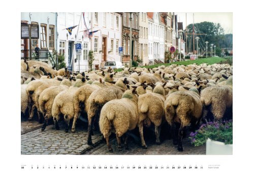 Glückstadt-Kalender 2015