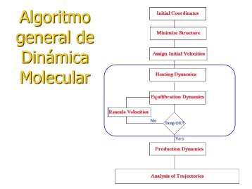 MOLECULAR DYNAMICS