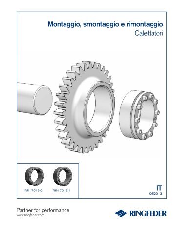 IT Montaggio, smontaggio e rimontaggio Calettatori - Ringfeder
