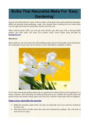 10,20,50 Blumenzwiebeln Gladiolen Blue Isle,