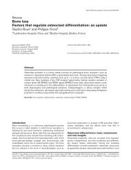 Bone loss Factors that regulate osteoclast differentiation: an update