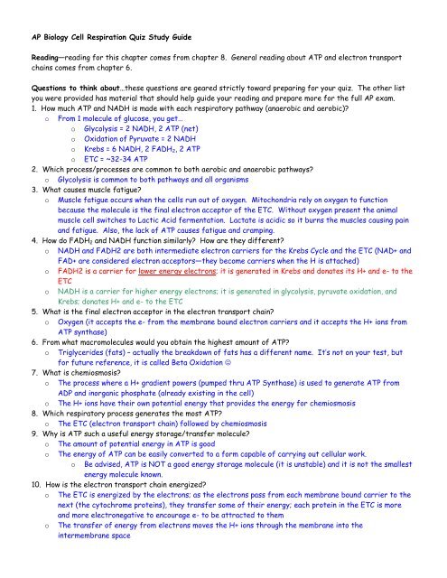 AP Biology Cell Respiration Quiz Study Guide ANSWERS