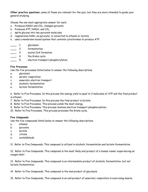 AP Biology Cell Respiration Quiz Study Guide ANSWERS