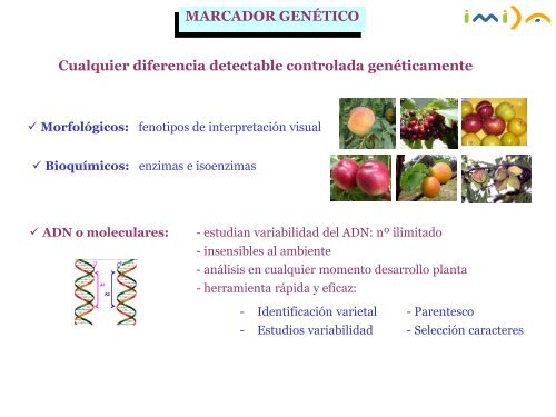 8 - Identificación varietal mediante marcadores moleculares. - imida