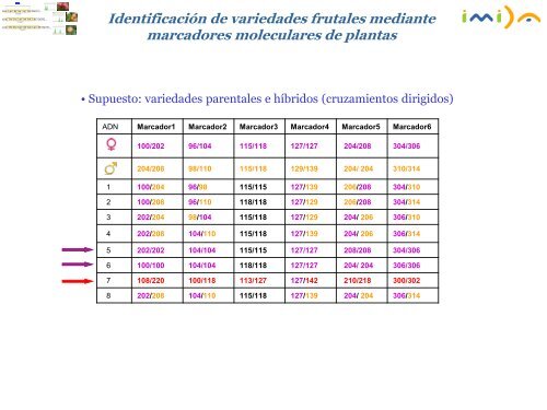 8 - Identificación varietal mediante marcadores moleculares. - imida