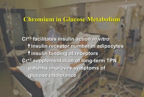 Lessons from Micronutrient Studies in Patients with Glucose ...