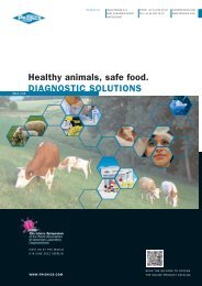 Healthy animals, safe food. DIAGNOSTIC SOLUTIONS - Prionics