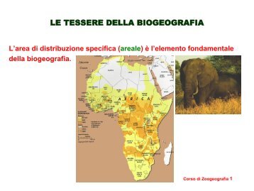 In pratica - UnitÃ  di Analisi e Gestione delle Risorse Ambientali