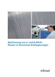 Bestimmung von Î±- und Î²-AlFeSi- Phasen in Aluminium ...
