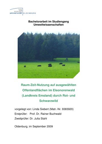 Bachelorarbeit im Studiengang Umweltwissenschaften Raum-Zeit ...