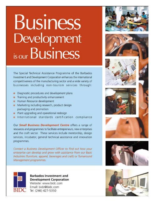 Labour of Love - Barbados Investment and Development Corporation