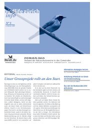 BirdLife Zürich info 2009/3 (PDF, 1.3 Mb)