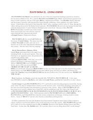 PLUTO BONA II, LIVING LEGEND - United States Lipizzan Federation