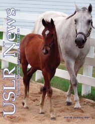 Summer 2007 - United States Lipizzan Federation