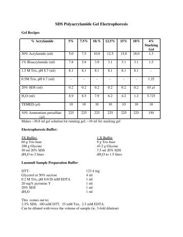 SDS Polyacrylamide Gel Electrophoresis