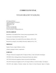 curriculum vitae viviane brachet staehling - Centro de Estudios ...