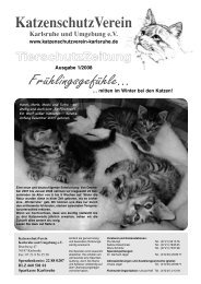 Tierschutzzeitung, Ausgabe 01/2008 - KatzenschutzVerein ...