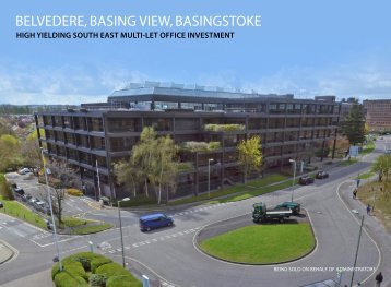 BELVEDERE, BASING VIEW, BASINGSTOKE - Capita Symonds