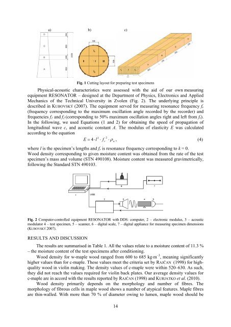 Physical-acoustical characteristics of maple wood with wavy structure