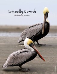 Naturally Kiawah - Kiawah Conservancy