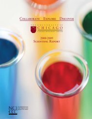Scientific Report 2008-2009 - The University of Chicago Medicine ...