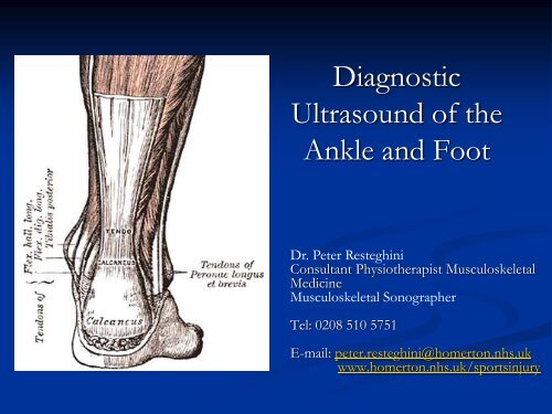 Diagnostic Ultrasound of the Ankle and Foot