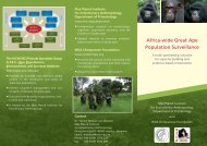 Leaflet [pdf] - The Wild Chimpanzee Foundation