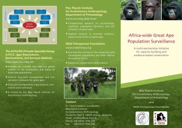 Leaflet [pdf] - The Wild Chimpanzee Foundation