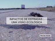 impactos de estradas - Departamento de Ecologia