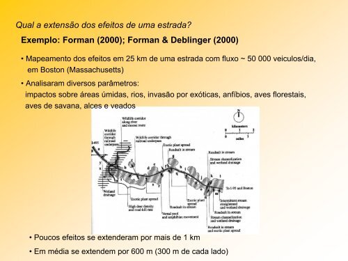 impactos de estradas - Departamento de Ecologia