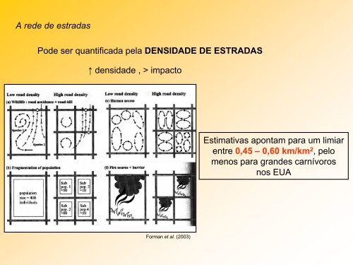 impactos de estradas - Departamento de Ecologia