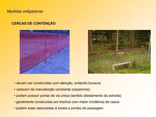 impactos de estradas - Departamento de Ecologia