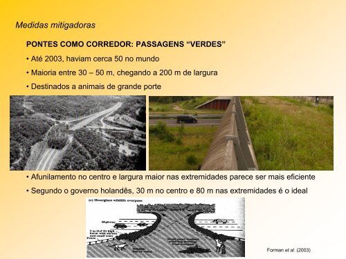 impactos de estradas - Departamento de Ecologia
