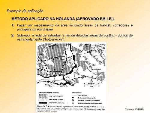 impactos de estradas - Departamento de Ecologia