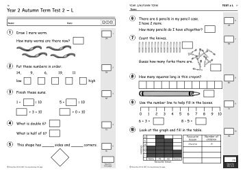 Y2 Maths Assessment - Rising Stars